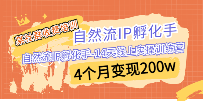 某社群收费培训：自然流IP 孵化手-14天线上实操训练营 4个月变现200w_酷乐网