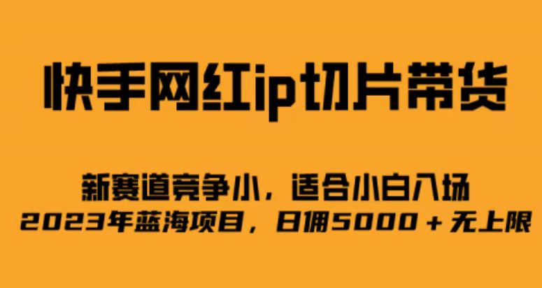 快手网红ip切片新赛道，竞争小事，适合小白  2023蓝海项目_酷乐网