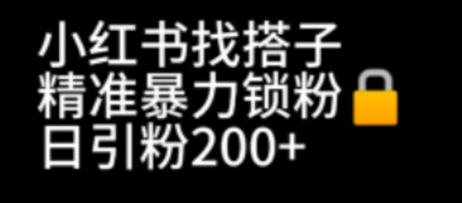 小红书找搭子暴力精准锁粉+引流日引200+精准粉_酷乐网