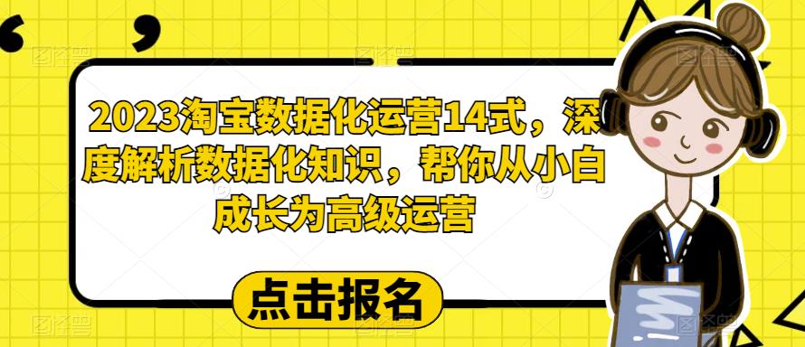 2023淘宝数据化-运营 14式，深度解析数据化知识，帮你从小白成长为高级运营_酷乐网