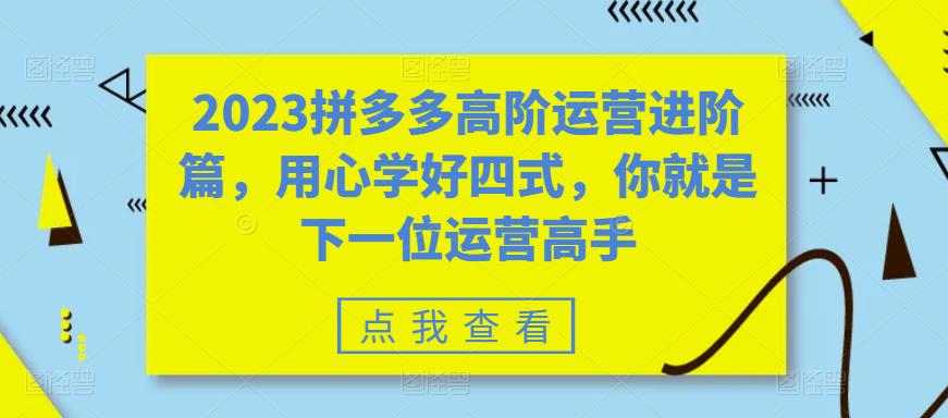 2023拼多多高阶运营进阶篇，用心学好四式，你就是下一位运营高手_酷乐网