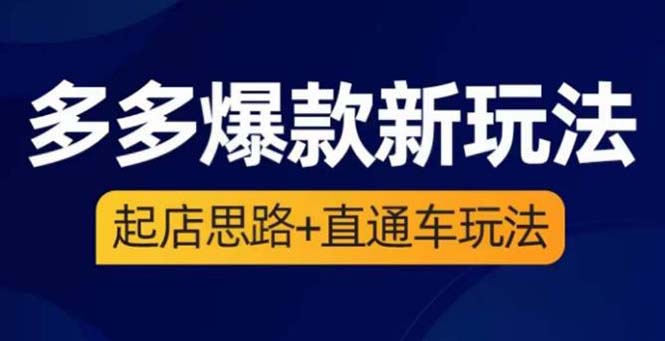 2023拼多多爆款·新玩法：起店思路+直通车玩法（3节精华课）_酷乐网