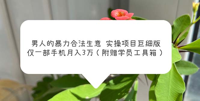 男人的暴力合法生意实操项目巨细版：仅一部手机月入3w（附赠学员工具箱）_酷乐网