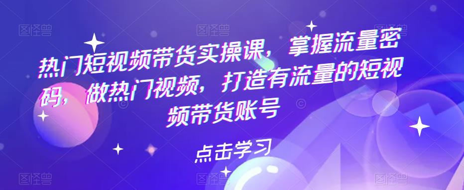 热门短视频带货实战 掌握流量密码 做热门视频 打造有流量的短视频带货账号_酷乐网