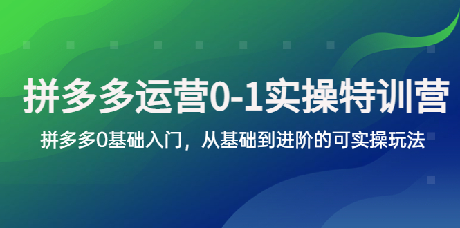 拼多多-运营0-1实操训练营，拼多多0基础入门，从基础到进阶的可实操玩法_酷乐网