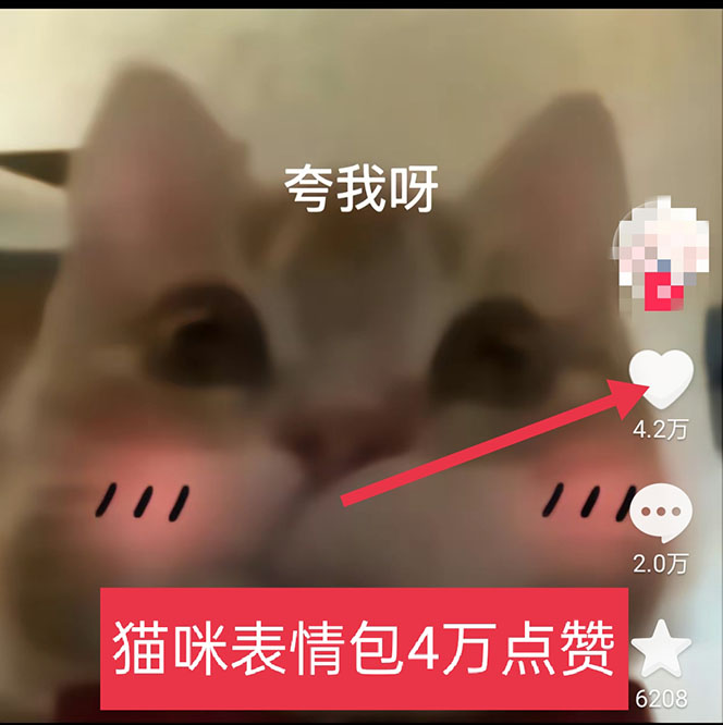 图片[3]_黑科技纯原创可爱猫咪图片，全网精准引流，实操5个VX号被加频繁_酷乐网