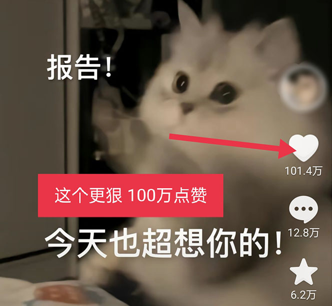 图片[4]_黑科技纯原创可爱猫咪图片，全网精准引流，实操5个VX号被加频繁_酷乐网