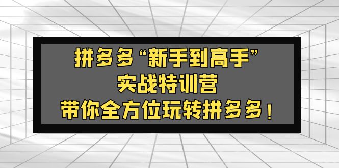 拼多多“新手到高手”实战特训营：带你全方位玩转拼多多！_酷乐网