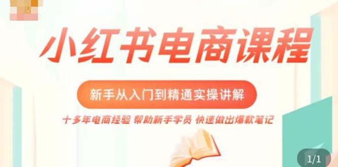 小红书电商新手入门到精通实操课，从入门到精通做爆款笔记，开店运营_酷乐网