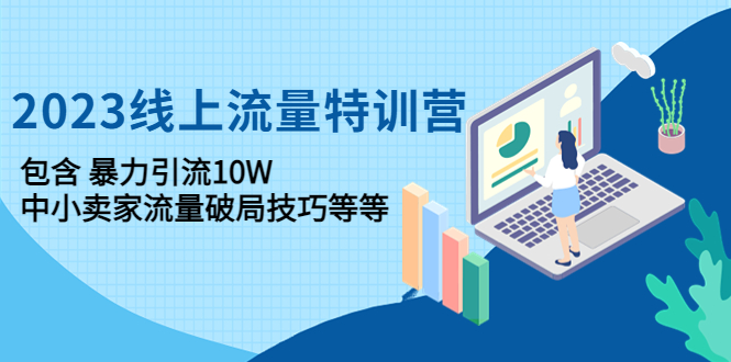 2023线上流量特训营：包含暴力引流10W+中小卖家流量破局技巧等等_酷乐网