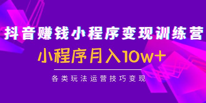 抖音赚钱小程序变现训练营：小程序月入10w+各类玩法运营技巧变现_酷乐网