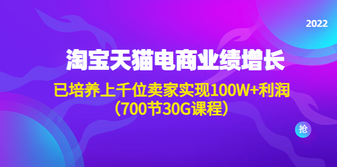 淘系天猫电商业绩增长：已培养上千位卖家实现100W+利润（700节30G课程）_酷乐网