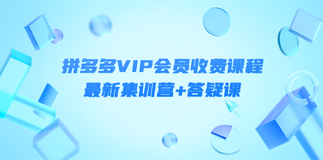 某社群·拼多多VIP会员收费课程，最新集训营+答疑课-价值3299元_酷乐网