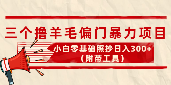 外面卖998的三个撸羊毛偏门暴力项目，小白零基础照抄日入300+（附带工具）_酷乐网