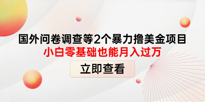 国外问卷调查等2个暴力撸美金项目，小白零基础也能月入过万_酷乐网