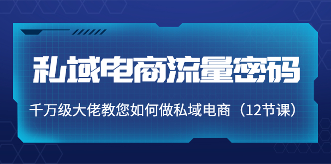 私域电商流量密码：千万级大佬教您如何做私域电商（12节课）_酷乐网