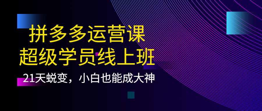 拼多多运营课：超级学员线上班，21天蜕变，小白也能成大神_酷乐网