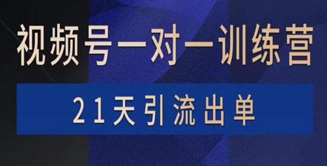 视频号训练营：带货，涨粉，直播，游戏，四大变现新方向，21天引流出单_酷乐网