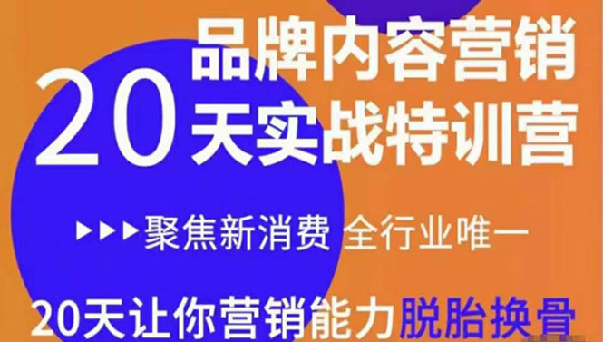 《内容营销实操特训营》20天让你营销能力脱胎换骨（价值3999）_酷乐网