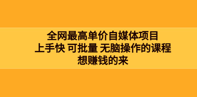 全网最单高价自媒体项目：上手快 可批量 无脑操作的课程，想赚钱的来_酷乐网