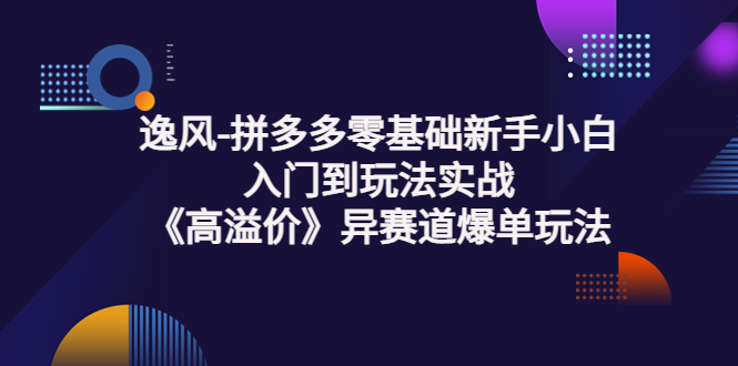 逸风-拼多多零基础新手小白入门到玩法实战《高溢价》异赛道爆单玩法实操课_酷乐网