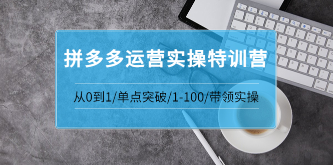 青云:拼多多运营实操特训营：从0到1/单点突破/1-100/带领实操_酷乐网