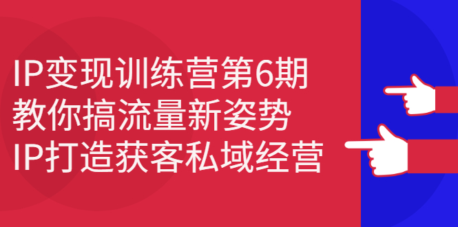 IP变现训练营第6期：教你搞流量新姿势，IP打造获客私域经营_酷乐网