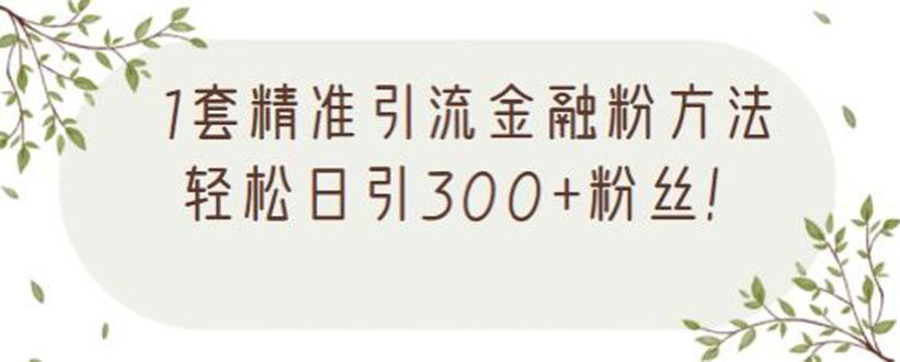 1套精准引流金融粉方法，轻松日引300+粉丝【视频课程】_酷乐网