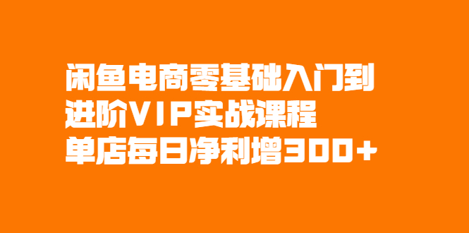 闲鱼电商零基础入门到进阶VIP实战课程，单店每日净利增300+_酷乐网