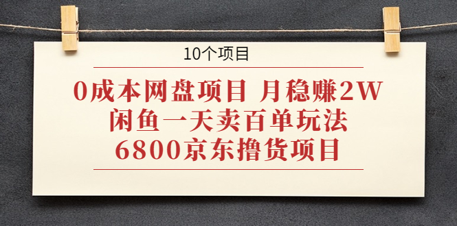 0成本网盘项目 月稳赚2W+闲鱼一天卖百单玩法+6800京东撸货项目 (10个项目)_酷乐网