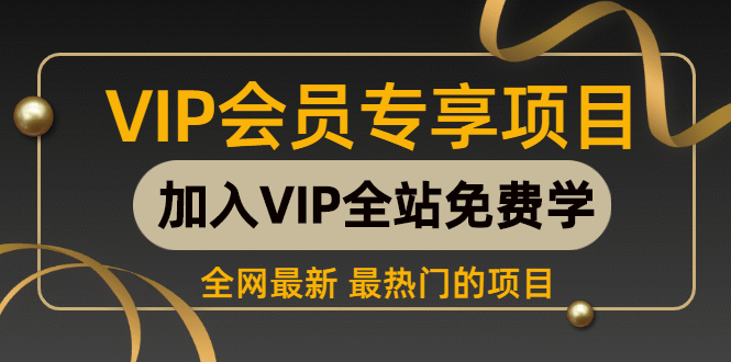 某团队VIP赚钱项目教程之（SEO实操课程之网赚博客）_酷乐网