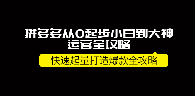 拼多多从0起步小白到大神运营全攻略，快速起量打造10W+爆款全攻略！_酷乐网