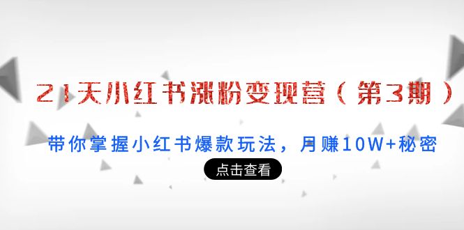 21天小红书涨粉变现营：带你掌握小红书爆款玩法，月赚10W+秘密_酷乐网