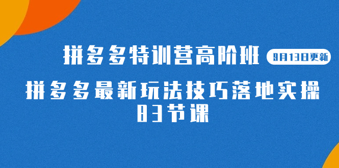 2023拼多多·特训营高阶班【9月13日更新】拼多多最新玩法技巧落地实操-83节_酷乐网