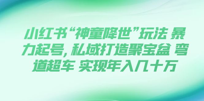 小红书“神童降世”玩法 暴力起号,私域打造聚宝盆 弯道超车 实现年入几十万_酷乐网