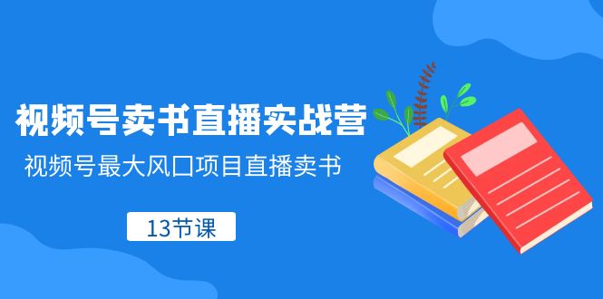 视频号-卖书直播实战营，视频号最大风囗项目直播卖书（13节课）_酷乐网