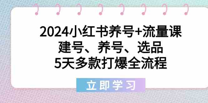 2024小红书养号+流量课：建号、养号、选品，5天多款打爆全流程_酷乐网