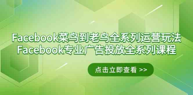 Facebook-菜鸟到老鸟全系列运营玩法+Facebook-专业广告投放全系列课程_酷乐网