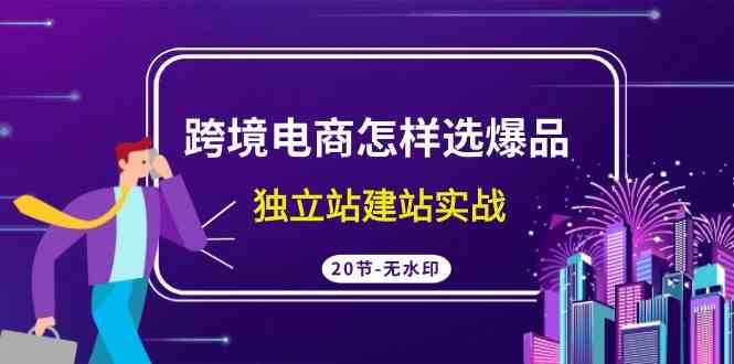 跨境电商怎样选爆品，独立站建站实战（20节高清无水印课）_酷乐网