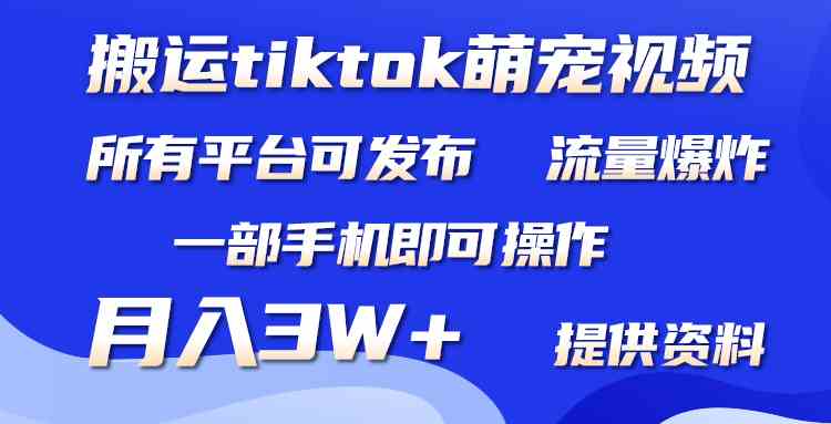 搬运Tiktok萌宠类视频，一部手机即可。所有短视频平台均可操作，月入3W+_酷乐网