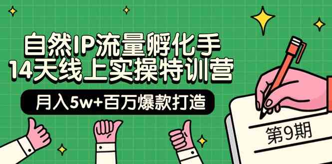 自然IP流量孵化手 14天线上实操特训营【第9期】月入5w+百万爆款打造 (74节)_酷乐网