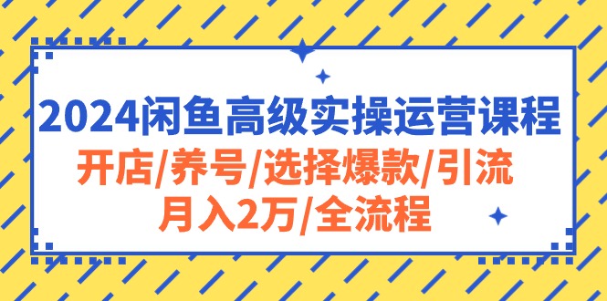 2024闲鱼高级实操运营课程：开店/养号/选择爆款/引流/月入2万/全流程_酷乐网