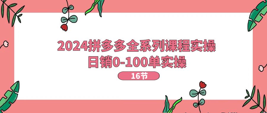 2024拼多多全系列课程实操，日销0-100单实操【16节课】_酷乐网