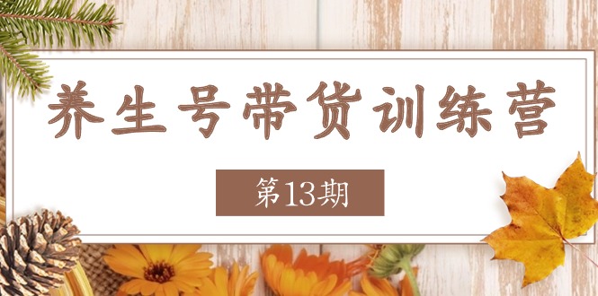 养生号-带货训练营【第13期】收益更稳定的玩法，让你带货收益爆炸_酷乐网