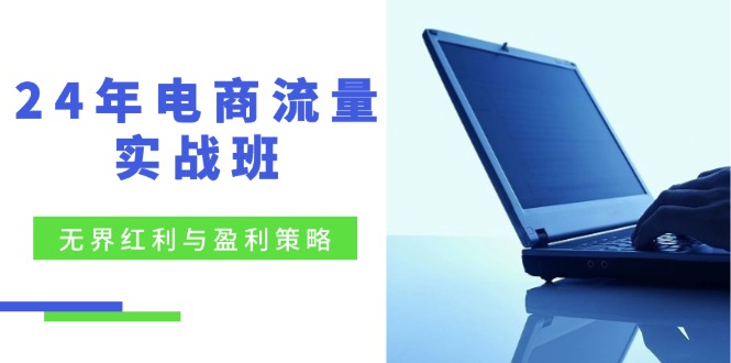 24年电商流量实战班：无界 红利与盈利策略，终极提升/关键词优化/精准…_酷乐网