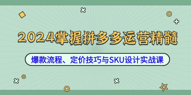 2024掌握拼多多运营精髓：爆款流程、定价技巧与SKU设计实战课_酷乐网