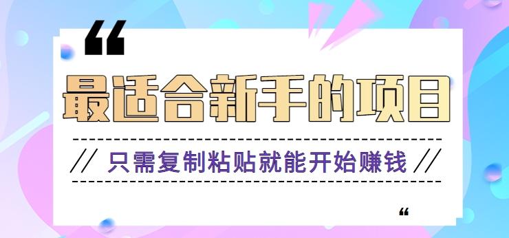 2024最适合新手操作的项目，新手小白只需复制粘贴就能开始赚钱【视频教程+软件】_酷乐网