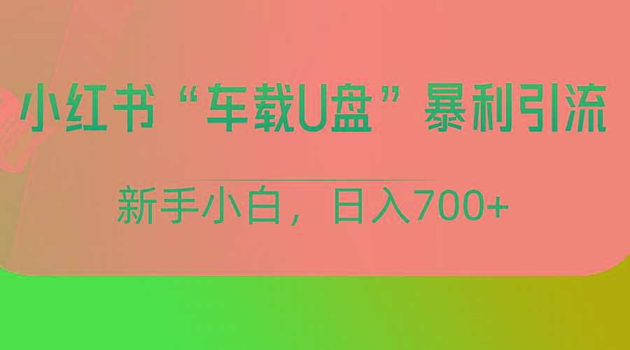 小红书“车载U盘”项目，暴利引流，新手小白轻松日入700+_酷乐网