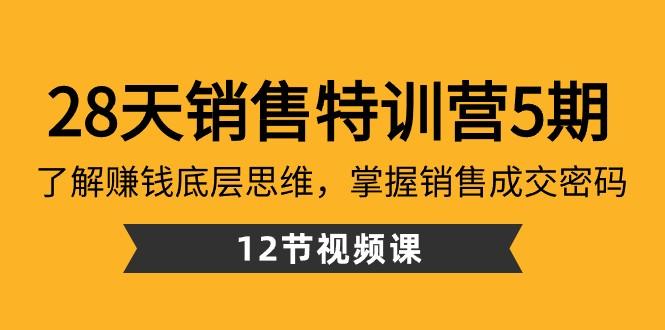 28天销售特训营5期：了解赚钱底层思维，掌握销售成交密码（12节课）_酷乐网